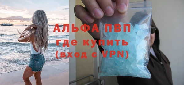 индика Верхний Тагил
