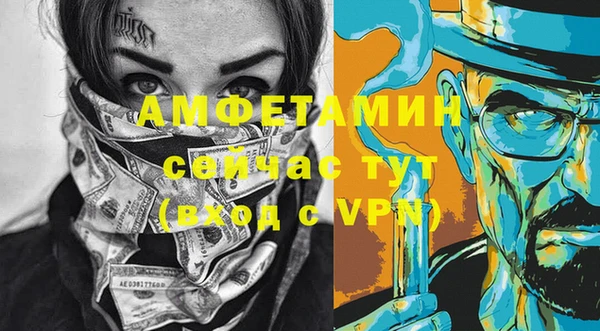 индика Верхний Тагил