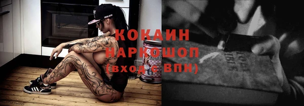 индика Верхний Тагил