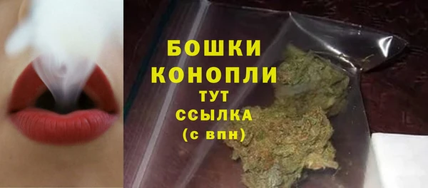 индика Верхний Тагил