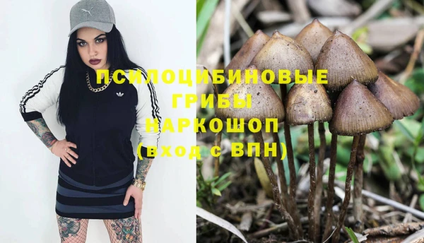 индика Верхний Тагил
