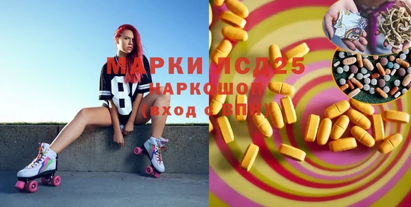 индика Верхний Тагил