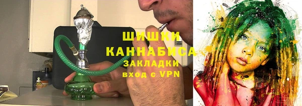 индика Верхний Тагил