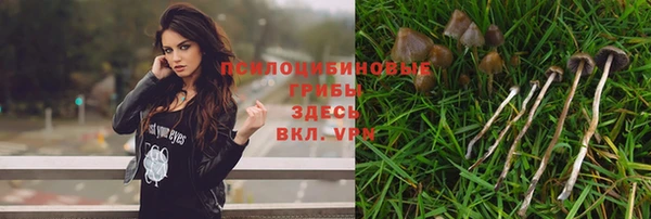 индика Верхний Тагил