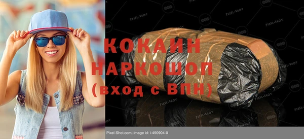 индика Верхний Тагил
