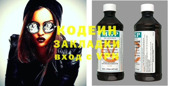 индика Верхний Тагил